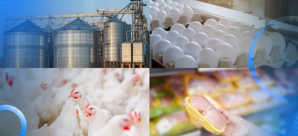 Discover a new proactive approach to farm management with amino