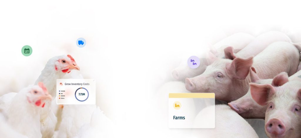 Amino's Financial Mission