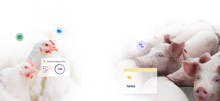 Amino's Financial Mission